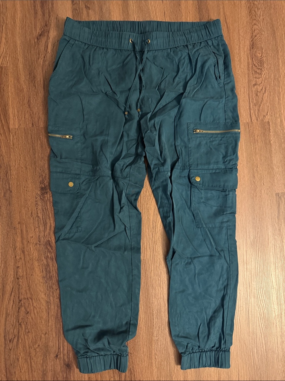 Banana Republic Teal Cargo Joggers with Gold Accents
